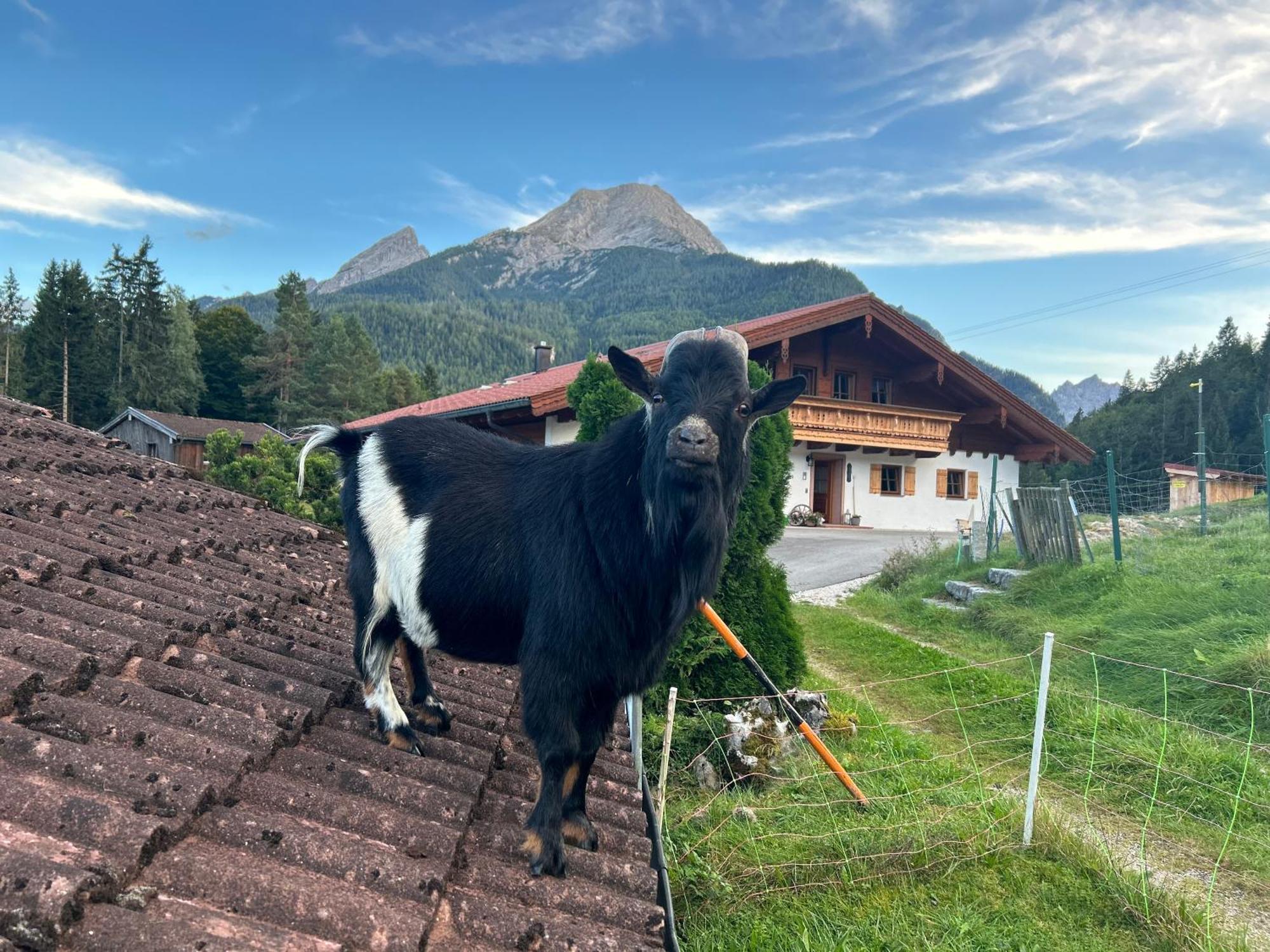 Auf'M Feggenlehen Hotel Ramsau bei Berchtesgaden Exterior photo